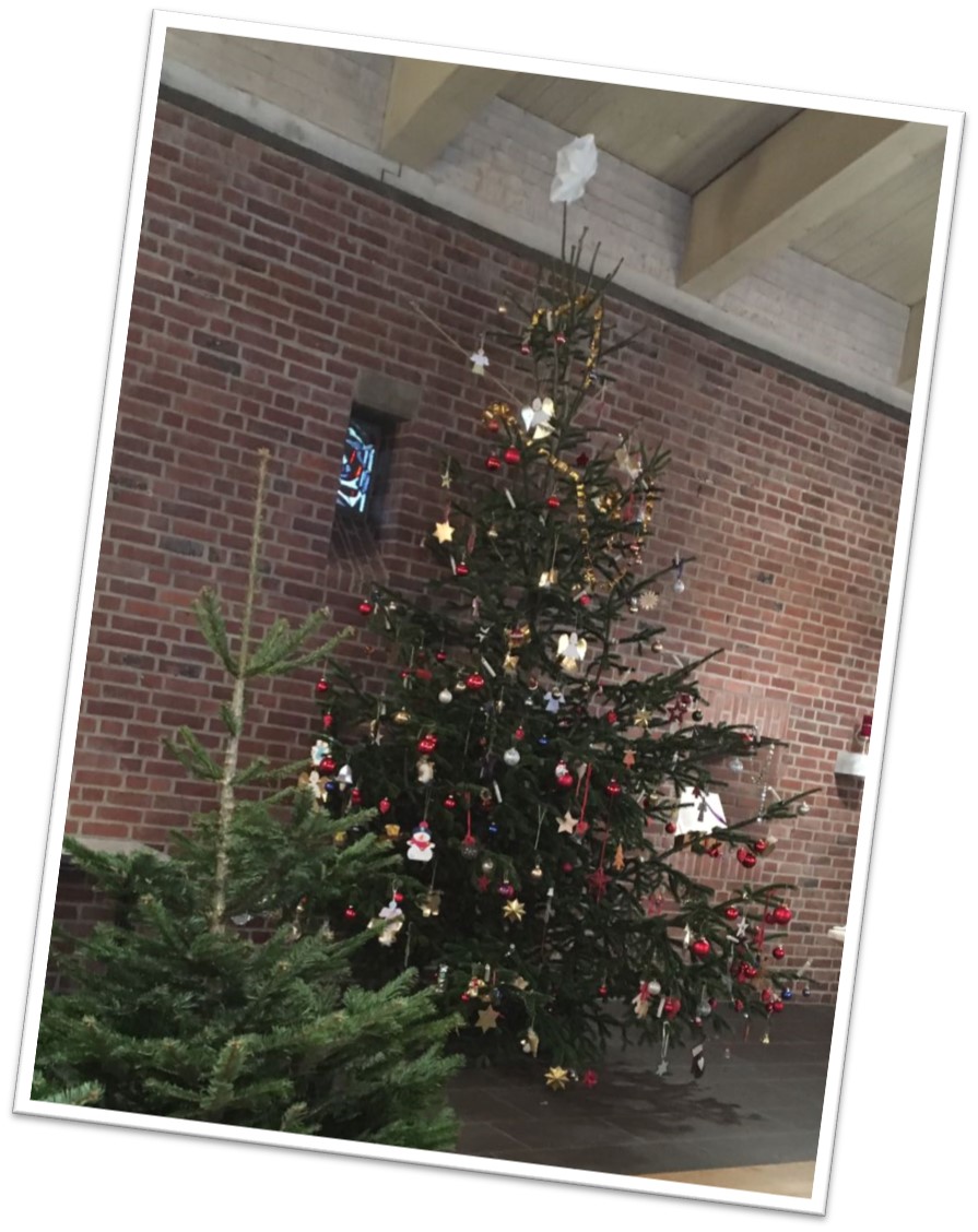 HG Weihnachtsbaum 2016 2